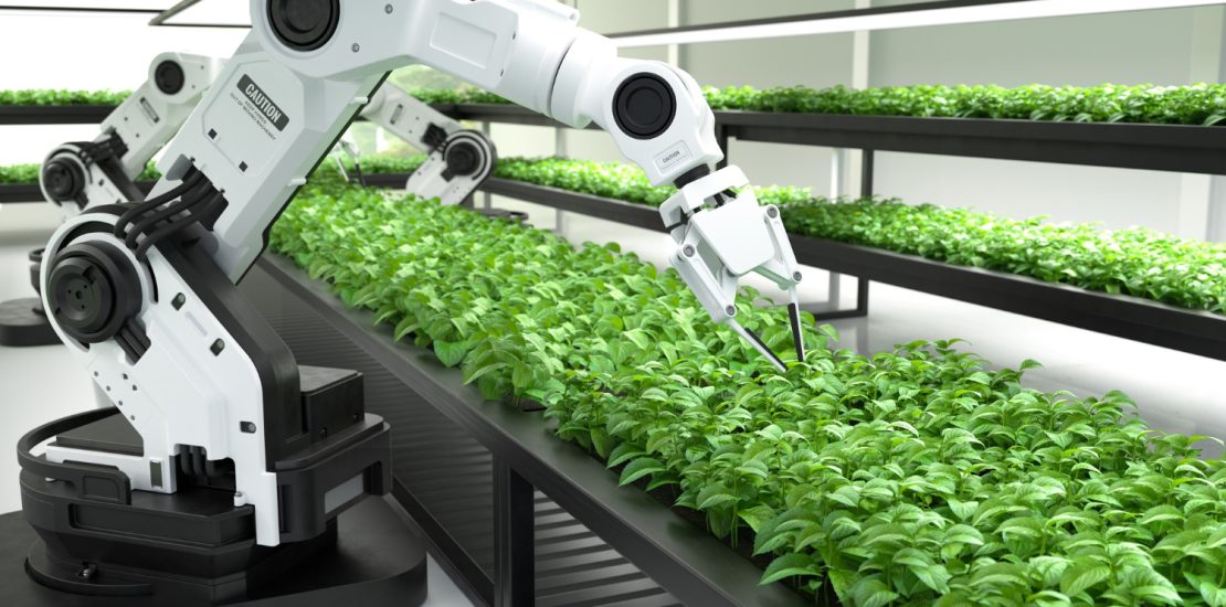 Dubai Food Technology innovation and investment in AgTech and UAE F&B sector